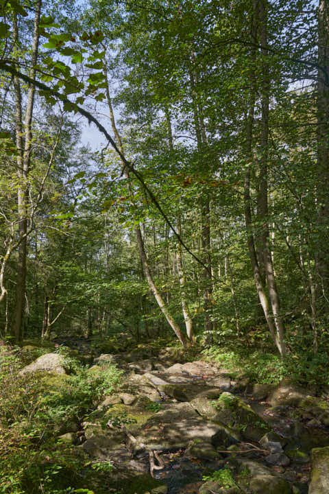 Gemeinde Waldkirchen Landkreis Freyung-Grafenau Saußbachklamm (Dirschl Johann) Deutschland FRG